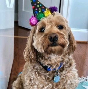 Meet your Posher, James